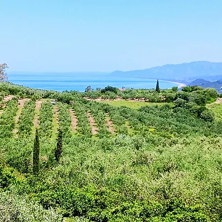 Elaia * Kyparissia