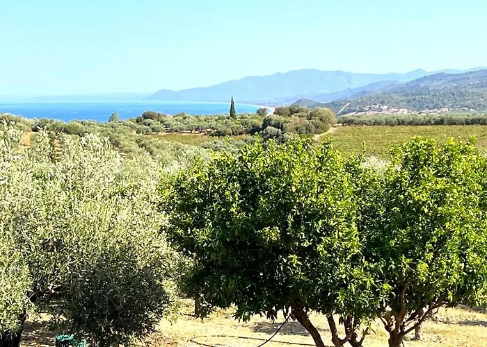 Villa Elaia *
