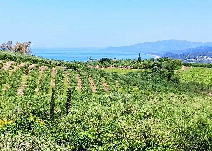 Elaia * Kyparissia
